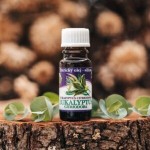 Éterický olej 10 ml - Eukalyptus Citriodora